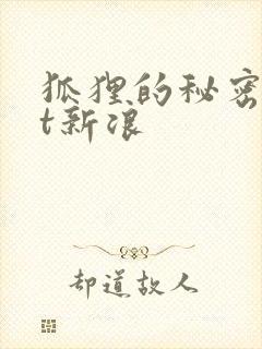 狐狸的秘密txt新浪