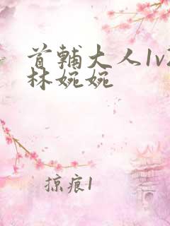 首辅大人1v2林婉婉