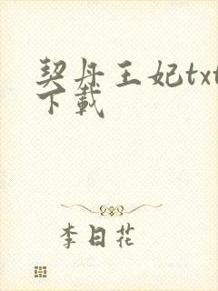契丹王妃txt下载