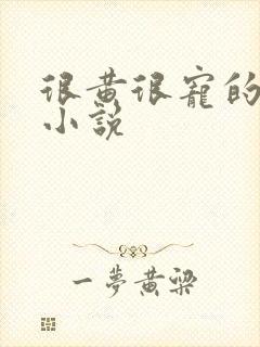 很黄很宠的总裁小说