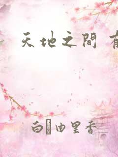 天地之间 有声