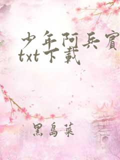 少年阿兵宾小说txt下载