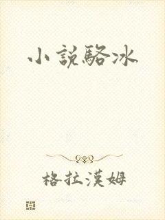 小说骆冰