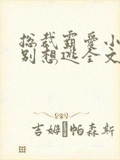 总裁霸爱小娇妻别想逃全文阅读免费