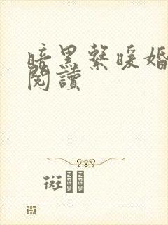 暗黑系暖婚免费阅读