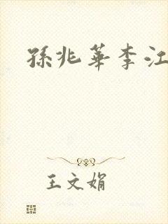 孙兆华李江小说