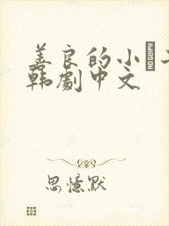 善良的小峓子2韩剧中文