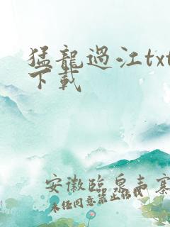 猛龙过江txt下载