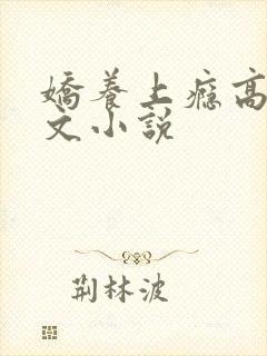 娇养上瘾高H爽文小说