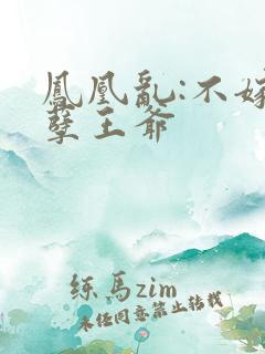 凤凰乱:不嫁妖孽王爷