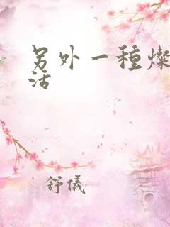 另外一种灿烂生活