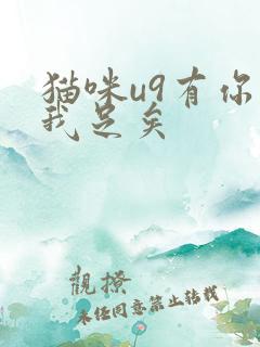 猫咪u9有你有我足矣
