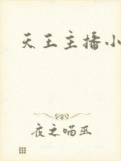 天王主播小说