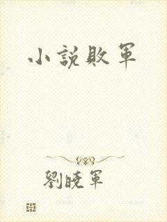 小说败军
