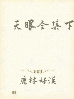 天眼全集下载