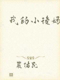 我的小后妈小说