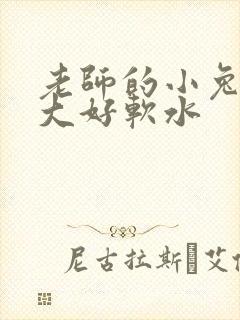 老师的小兔子好大好软水