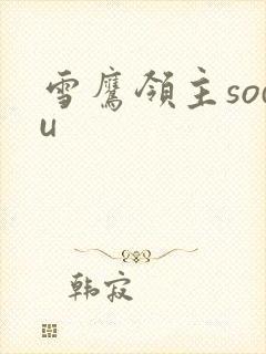 雪鹰领主sodu