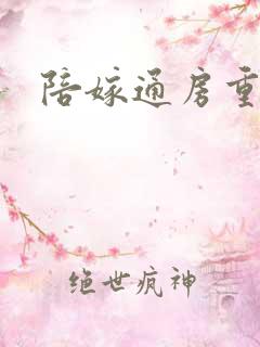 陪嫁通房重生记