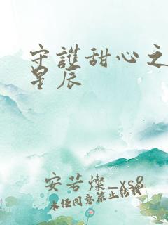 守护甜心之暗夜星辰