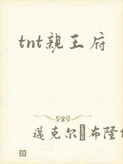 tnt亲王府