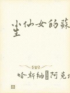 小仙女的苏撩先生