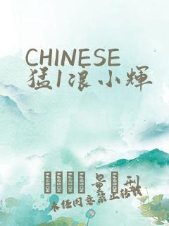 CHINESE猛1浪小辉