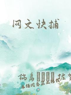 网文快捕