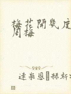 梅花开几度老张周梅