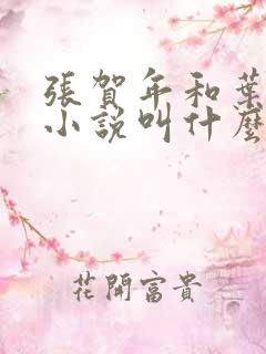 张贺年和叶繁姿小说叫什么名字