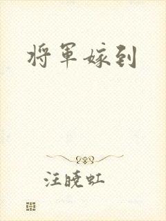 将军嫁到