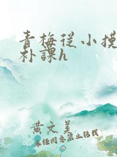 青梅从小摸到大补课h