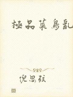 极品菜鸟乱江湖