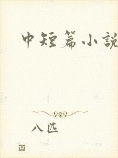 中短篇小说集