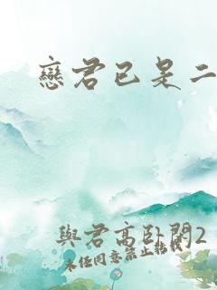 恋君已是二十年