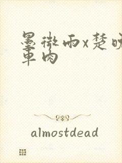 墨微雨x楚晚宁车肉