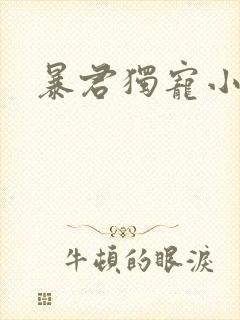 暴君独宠小俏后