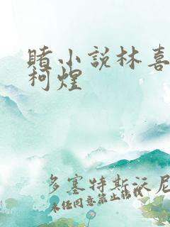 赌小说林喜朝和柯煜