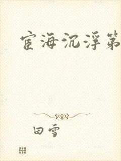 宦海沉浮第三部