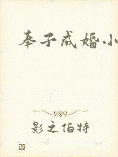 奉子成婚小说