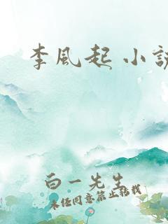 李风起 小说