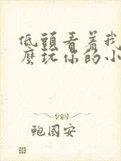 低头看着我是怎么玩你的小说