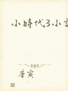小时代3小说