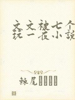 文文被七个男人玩一夜小说