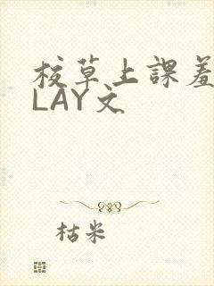 校草上课羞耻PLAY文