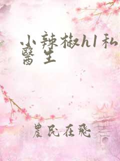 小辣椒h1私人医生