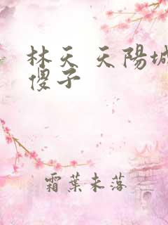 林天 天阳城 傻子