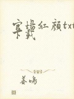 官场红颜txt下载