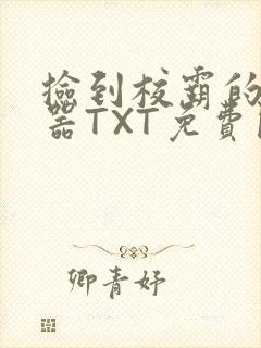 捡到校霸的遥控器TXT免费阅读