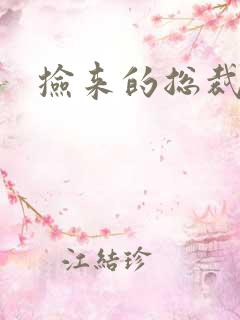 捡来的总裁儿子